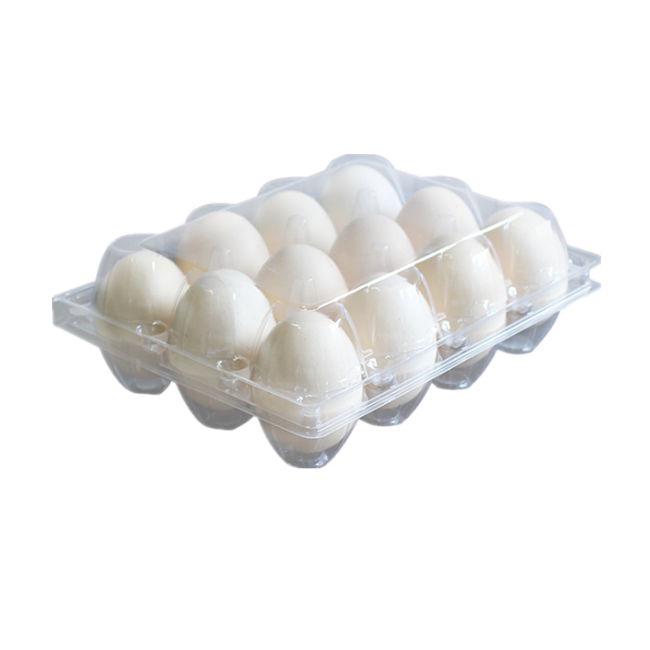 Egg