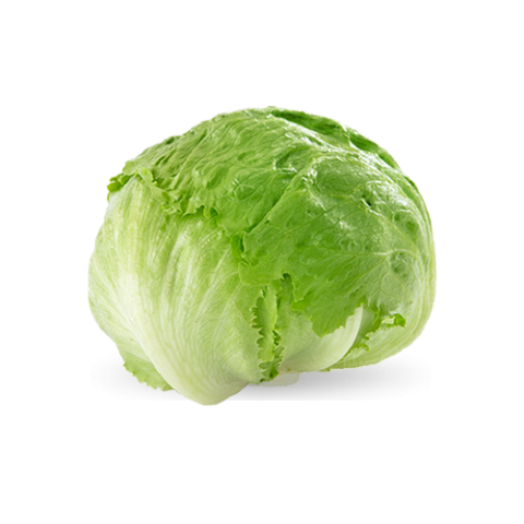 Lettuce