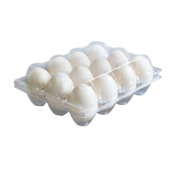 Egg