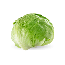 Lettuce