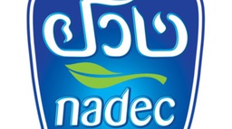 NADEC LEMON MINT JUICE